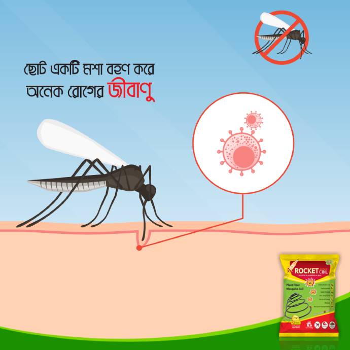 Best protection against disease-carrying mosquitoes