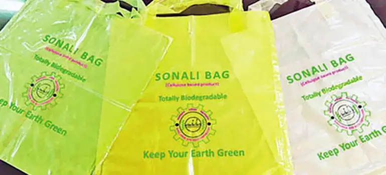 Sonali Bag Limited